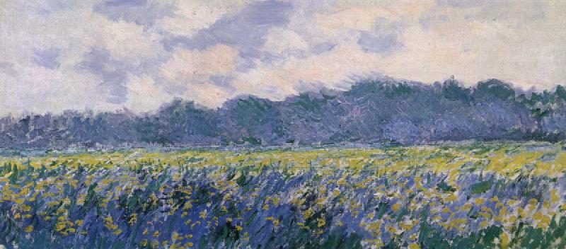 Claude Monet Field of Irses at Giverny